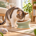 helvenna™ Tilted Cat Food Bowl